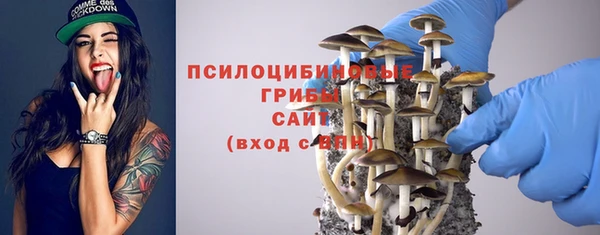 скорость Алзамай