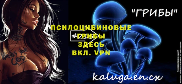 PSILOCYBIN Алексеевка