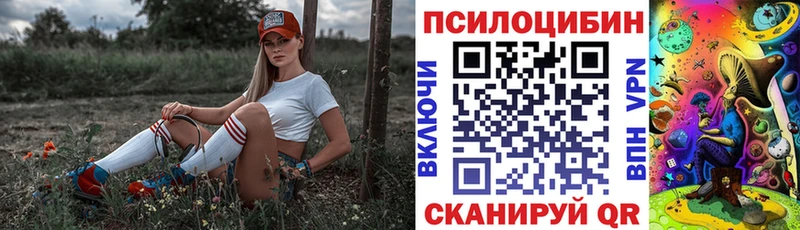 omg ТОР  Рыбное  darknet Telegram  Псилоцибиновые грибы Cubensis 